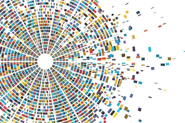 Whole genome sequencing visualization